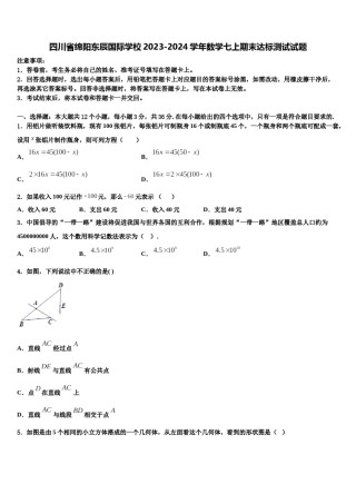 四川省绵阳东辰国际学校2023-2024学年数学七上期末达标测试试题含解析.doc