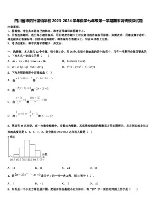 四川省绵阳外国语学校2023-2024学年数学七年级第一学期期末调研模拟试题含解析.doc