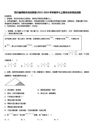 四川省绵阳市名校联盟2023-2024学年数学七上期末达标测试试题含解析.doc