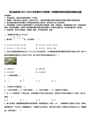 四川省荣县2023-2024学年数学七年级第一学期期末教学质量检测模拟试题含解析.doc