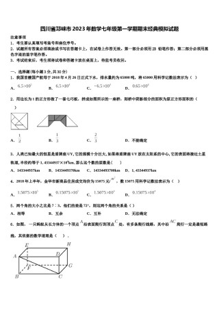 四川省邛崃市2023年数学七年级第一学期期末经典模拟试题含解析.doc