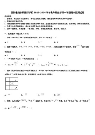 四川省阳东辰国际学校2023-2024学年七年级数学第一学期期末监测试题含解析.doc