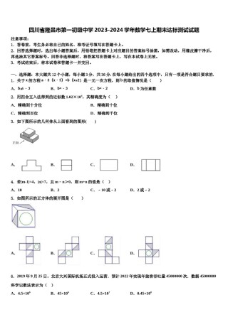 四川省隆昌市第一初级中学2023-2024学年数学七上期末达标测试试题含解析.doc