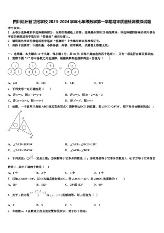 四川达州新世纪学校2023-2024学年七年级数学第一学期期末质量检测模拟试题含解析.doc