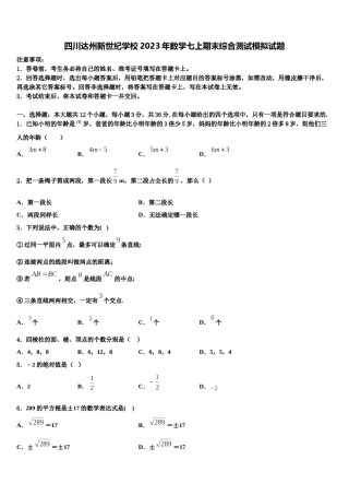 四川达州新世纪学校2023年数学七上期末综合测试模拟试题含解析.doc