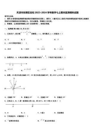 天津市东丽区名校2023-2024学年数学七上期末监测模拟试题含解析.doc