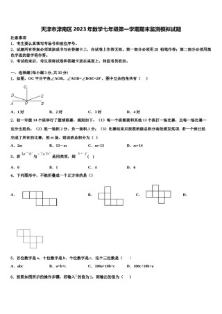 天津市津南区2023年数学七年级第一学期期末监测模拟试题含解析.doc