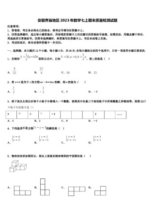 安徽界首地区2023年数学七上期末质量检测试题含解析.doc
