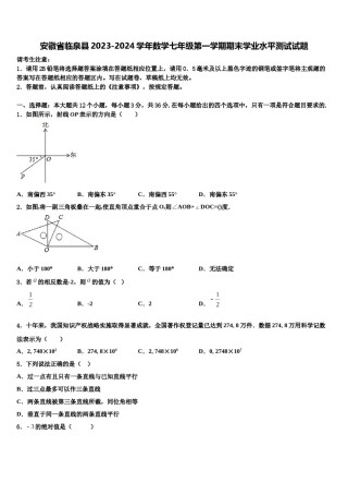 安徽省临泉县2023-2024学年数学七年级第一学期期末学业水平测试试题含解析.doc