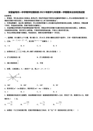 安徽省亳州一中学南学校国际部2023年数学七年级第一学期期末达标检测试题含解析.doc