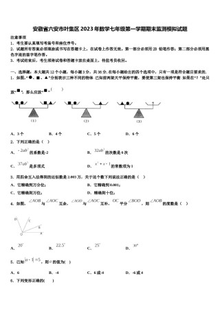 安徽省六安市叶集区2023年数学七年级第一学期期末监测模拟试题含解析.doc