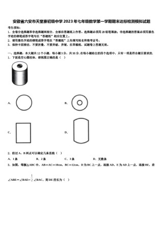 安徽省六安市天堂寨初级中学2023年七年级数学第一学期期末达标检测模拟试题含解析.doc