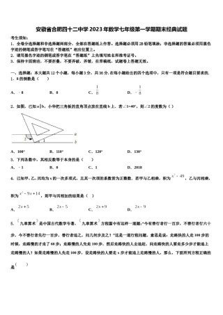 安徽省合肥四十二中学2023年数学七年级第一学期期末经典试题含解析.doc