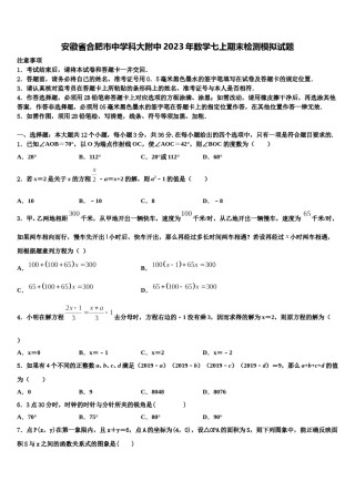 安徽省合肥市中学科大附中2023年数学七上期末检测模拟试题含解析.doc