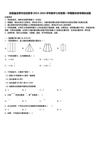 安徽省合肥市名校联考2023-2024学年数学七年级第一学期期末统考模拟试题含解析.doc