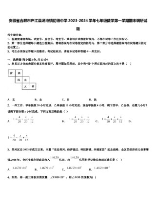 安徽省合肥市庐江县汤池镇初级中学2023-2024学年七年级数学第一学期期末调研试题含解析.doc