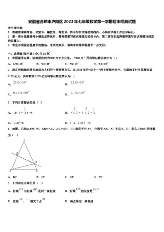 安徽省合肥市庐阳区2023年七年级数学第一学期期末经典试题含解析.doc
