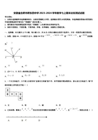 安徽省合肥市肥东四中学2023-2024学年数学七上期末达标测试试题含解析.doc
