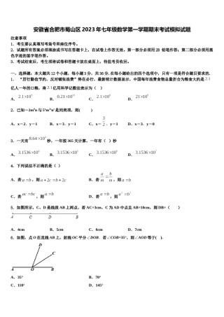 安徽省合肥市蜀山区2023年七年级数学第一学期期末考试模拟试题含解析.doc