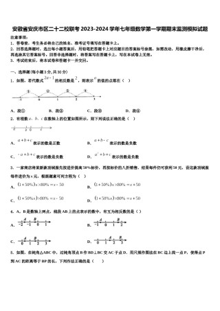 安徽省安庆市区二十二校联考2023-2024学年七年级数学第一学期期末监测模拟试题含解析.doc