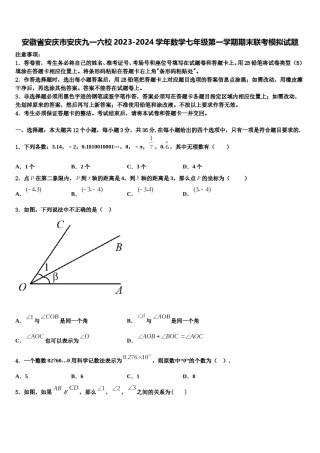 安徽省安庆市安庆九一六校2023-2024学年数学七年级第一学期期末联考模拟试题含解析.doc