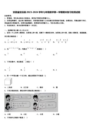 安徽省定远县2023-2024学年七年级数学第一学期期末复习检测试题含解析.doc