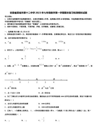 安徽省宣城市第十二中学2023年七年级数学第一学期期末复习检测模拟试题含解析.doc