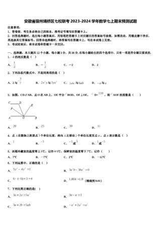 安徽省宿州埇桥区七校联考2023-2024学年数学七上期末预测试题含解析.doc