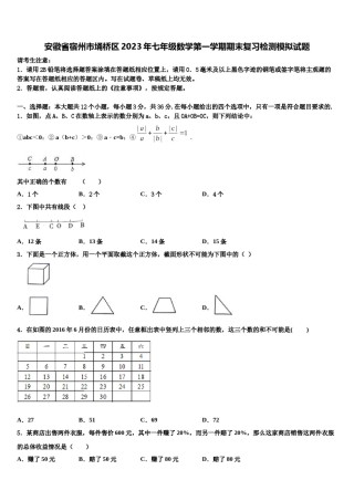 安徽省宿州市埇桥区2023年七年级数学第一学期期末复习检测模拟试题含解析.doc