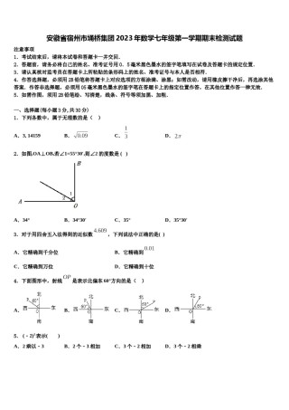 安徽省宿州市埇桥集团2023年数学七年级第一学期期末检测试题含解析.doc