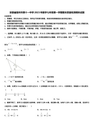 安徽省宿州市第十一中学2023年数学七年级第一学期期末质量检测模拟试题含解析.doc