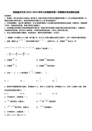 安徽省无为市2023-2024学年七年级数学第一学期期末考试模拟试题含解析.doc