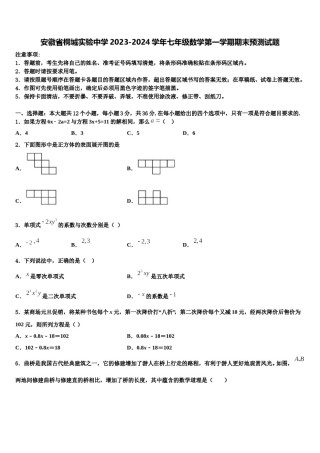安徽省桐城实验中学2023-2024学年七年级数学第一学期期末预测试题含解析.doc