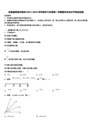 安徽省桐城市黄岗2023-2024学年数学七年级第一学期期末学业水平测试试题含解析.doc