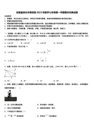 安徽省淮北市濉溪县2023年数学七年级第一学期期末经典试题含解析.doc
