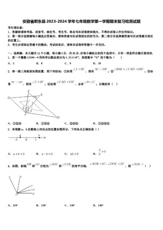安徽省肥东县2023-2024学年七年级数学第一学期期末复习检测试题含解析.doc