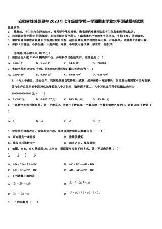 安徽省舒城县联考2023年七年级数学第一学期期末学业水平测试模拟试题含解析.doc