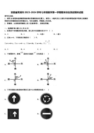 安徽省芜湖市2023-2024学年七年级数学第一学期期末综合测试模拟试题含解析.doc