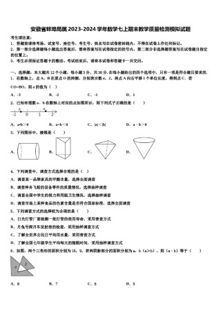 安徽省蚌埠局属2023-2024学年数学七上期末教学质量检测模拟试题含解析.doc