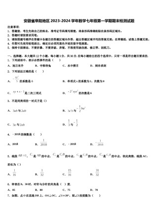 安徽省阜阳地区2023-2024学年数学七年级第一学期期末检测试题含解析.doc