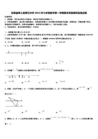 安徽省颍上县第五中学2023年七年级数学第一学期期末质量跟踪监视试题含解析.doc