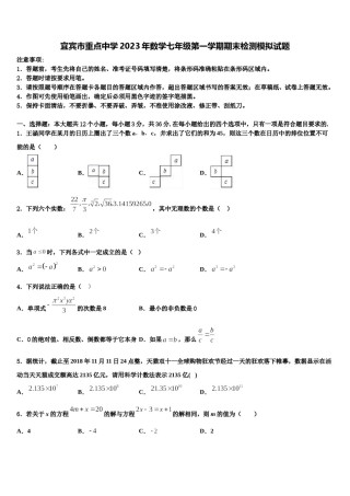 宜宾市重点中学2023年数学七年级第一学期期末检测模拟试题含解析.doc
