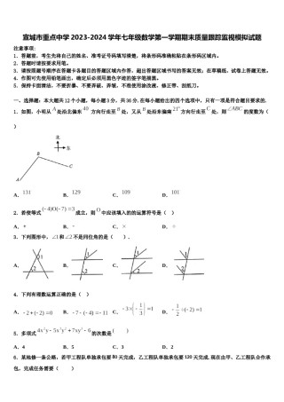 宣城市重点中学2023-2024学年七年级数学第一学期期末质量跟踪监视模拟试题含解析.doc