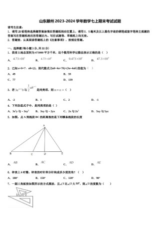 山东滕州2023-2024学年数学七上期末考试试题含解析.doc