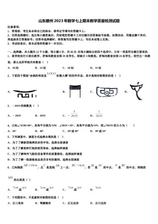 山东滕州2023年数学七上期末教学质量检测试题含解析.doc