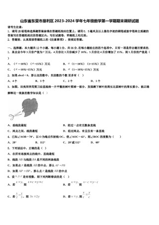 山东省东营市垦利区2023-2024学年七年级数学第一学期期末调研试题含解析.doc