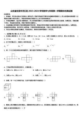 山东省东营市河口区2023-2024学年数学七年级第一学期期末经典试题含解析.doc