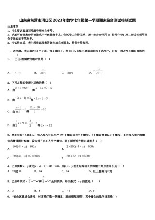 山东省东营市河口区2023年数学七年级第一学期期末综合测试模拟试题含解析.doc
