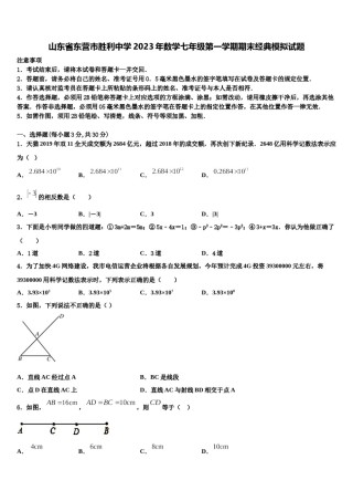 山东省东营市胜利中学2023年数学七年级第一学期期末经典模拟试题含解析.doc