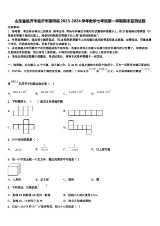 山东省临沂市临沂市蒙阴县2023-2024学年数学七年级第一学期期末监测试题含解析.doc